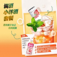 迷你小酒版便利店調酒洋酒夜市擺攤公路商店微醺套裝50毫 升小瓶裝