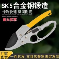 不銹鋼修枝剪修剪樹枝神器 強力樹枝剪樹枝修剪多功能園藝果枝剪