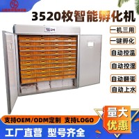 跨境大型雞蛋孵化機(jī)家用全自動孵蛋器工廠直發(fā)小型智能小雞孵化器
