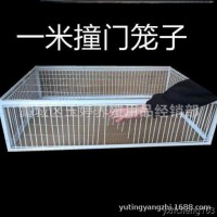 天落籠加密只進(jìn)不出鴿子籠自動(dòng)捕雞網(wǎng)雀鳥(niǎo)籠活絡(luò)撞門(mén)籠收鴿器