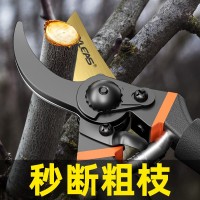園藝剪刀批發(fā)果樹(shù)修枝剪園林粗枝剪樹(shù)枝用的剪刀花藝修枝剪摘果剪